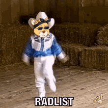 Radcats Radlist GIF - Radcats Radlist GIFs