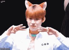 Ab6ix Park Woojin GIF - Ab6ix Park Woojin Cat GIFs