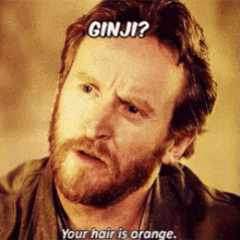 Ginji Ginger GIF - Ginji Ginger Orange GIFs