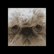 Takamiya Rion Wattson GIF - Takamiya Rion Wattson Cat3d GIFs