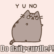 Daily Curdle Why You No GIF - Daily Curdle Why You No Wtf GIFs