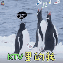 唱k 唱歌 歌唱 企鹅 GIF