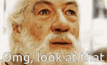 Gandalf Lord Of The Rings GIF - Gandalf Lord Of The Rings Omg GIFs