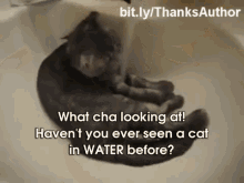 Cats In Sink GIF - Cat Water Faucet GIFs