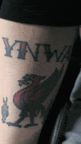 a person has a tattoo of a dragon and the word ynwa on their arm