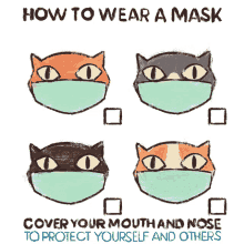 how to wear a mask wear a mask cover your nose cover your mouth social distance
