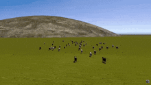 Cows Move GIF