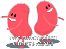 Birthday Kidney GIF - Birthday Kidney Beans GIFs