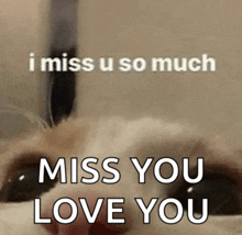 a picture of a cat that says i miss u so much