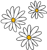 Flowers Aster Sticker