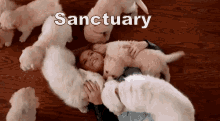 Sanctuary GIF - Sanctuary Puppies Happy Place GIFs