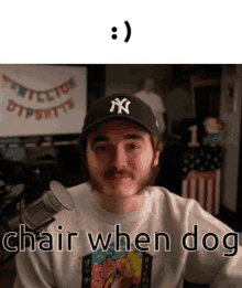 Pthq Chair GIF - Pthq Chair Dog GIFs