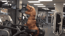 T Rex Working Out GIF - T Rex Working Out Costume GIFs