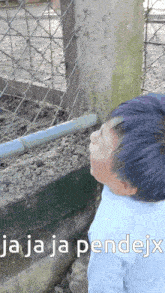 a young boy looking at something behind a chain link fence with the words jaja ja pendejx written below him