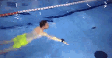 Swimming костяпавлов GIF