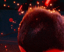 a close up of a person 's hair with a red background