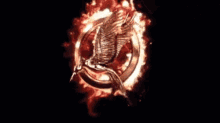 The Hunger Games Mockingjay GIF - The Hunger Games Mockingjay Catching Fire GIFs
