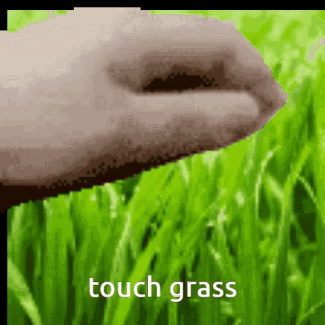 GO TOUCH GRASS NOW by DistanceText Sound Effect - Meme Button - Tuna