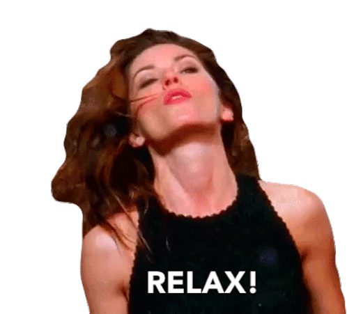 Relax Shania Twain Sticker - Relax Shania Twain Dont Be Stupid Stickers