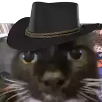 a cat is wearing a black cowboy hat