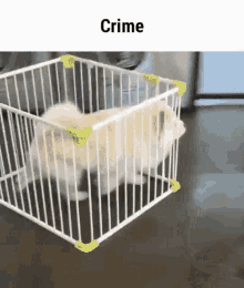 Crime Dog Crime GIF - Crime Dog Crime Dog GIFs