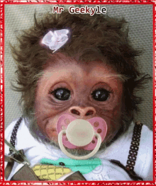 Mrgeekyle Baby GIF - Mrgeekyle Baby Monkey GIFs