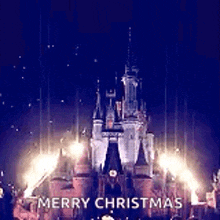 a castle is lit up at night with fireworks and the words `` merry christmas '' written on it .