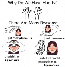 why do we have hands there are many reasons pat the bglamours cherish the bglamours