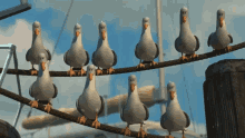 Seagulls Finding Nemo GIF - Seagulls Finding Nemo Cod GIFs