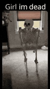Skeleton Skeleton Meme GIF