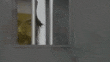 a man with a beard is looking through a window .