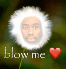 a dandelion with a man 's face in it and the words blow me written on it