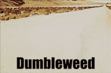 Harry Potter Dumbledore GIF - Harry Potter Dumbledore Tumbleweed GIFs