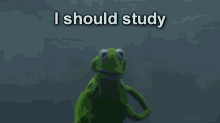 Meme You Can Study Later GIF