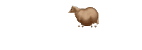 a cartoon drawing of a sheep standing on a white background