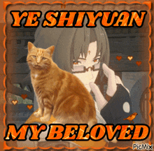 a picture of a girl with glasses and an orange cat with the words ye shiyuan my beloved