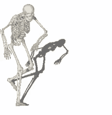 Skeleton Dancing GIF