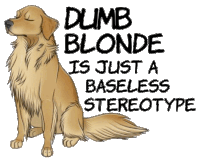 dumb blonde is just a baseless stereotype with a dog