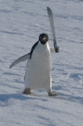a penguin is holding a large knife in its right hand