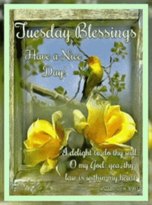 tuesday blessings good morning happy