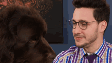 a man wearing glasses and a plaid shirt looks at a dog