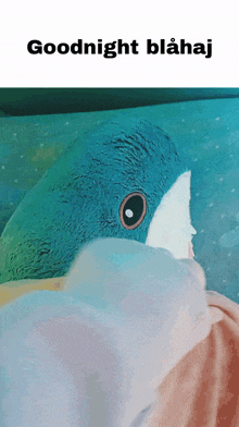 a blue stuffed animal with the words goodnight blahaj on the bottom