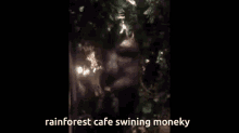 Rainforest Cafe Rainforest GIF - Rainforest Cafe Rainforest Monkey GIFs