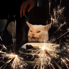 Smudge Sparkler GIF - Smudge Sparkler Smudge Cat GIFs