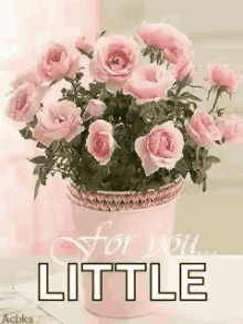 For You Roses GIF - For You Roses Flowerpot GIFs