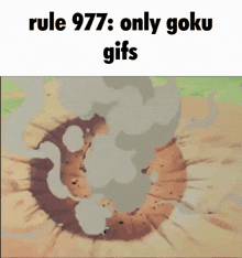 Rule 977 Goku GIF - Rule 977 Goku Rule GIFs