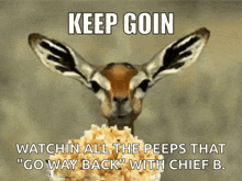 Keep Going Deer GIF - Keep Going Deer Eating GIFs