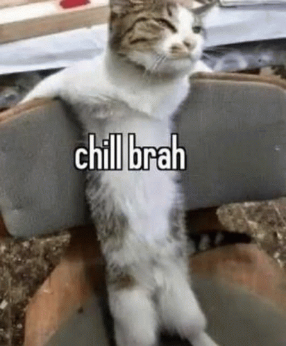 Chill Cat GIF - Chill Cat - Discover & Share GIFs