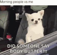 chihuahua morning fainting not a morning person body butter