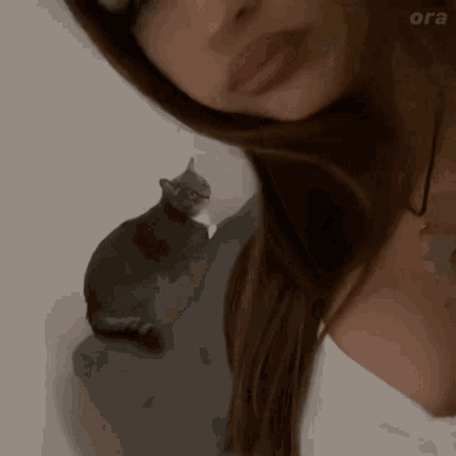 Cat Girl GIF - Cat Girl - Discover & Share GIFs